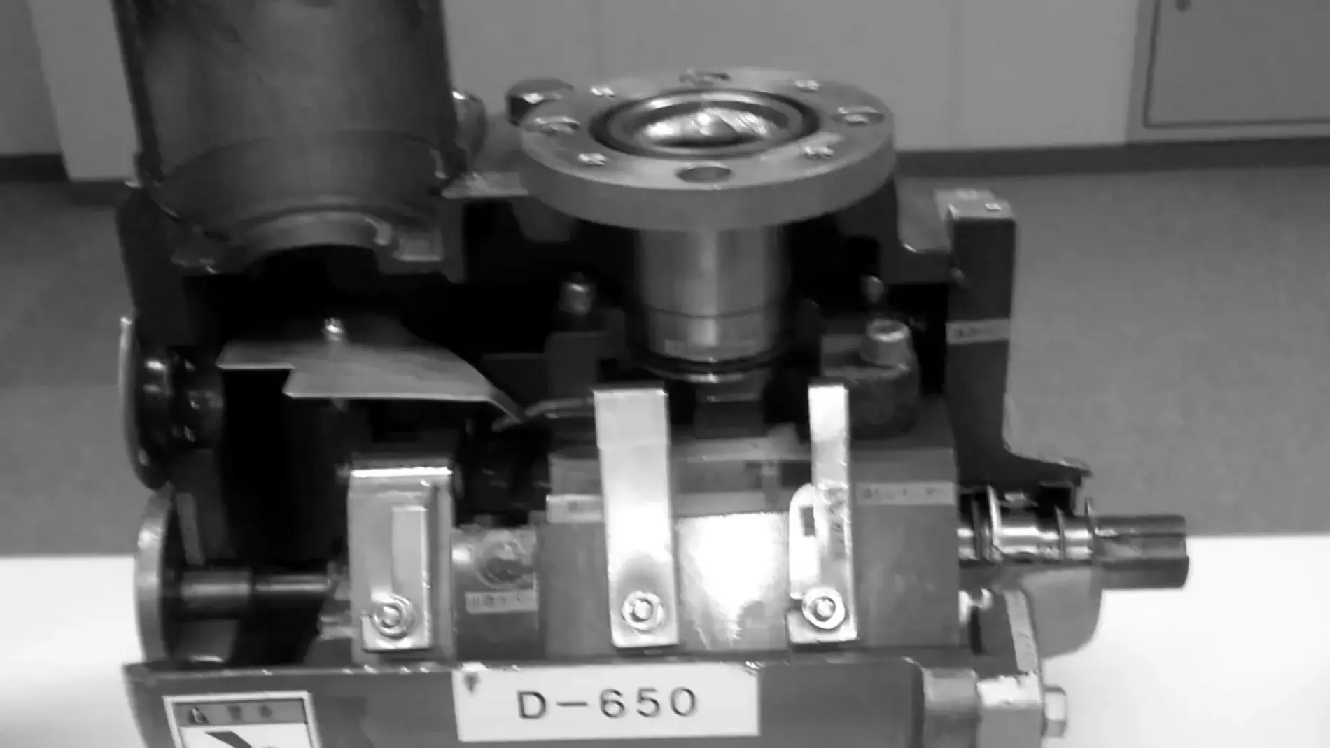 Cutaway view of a rotary pump assembly